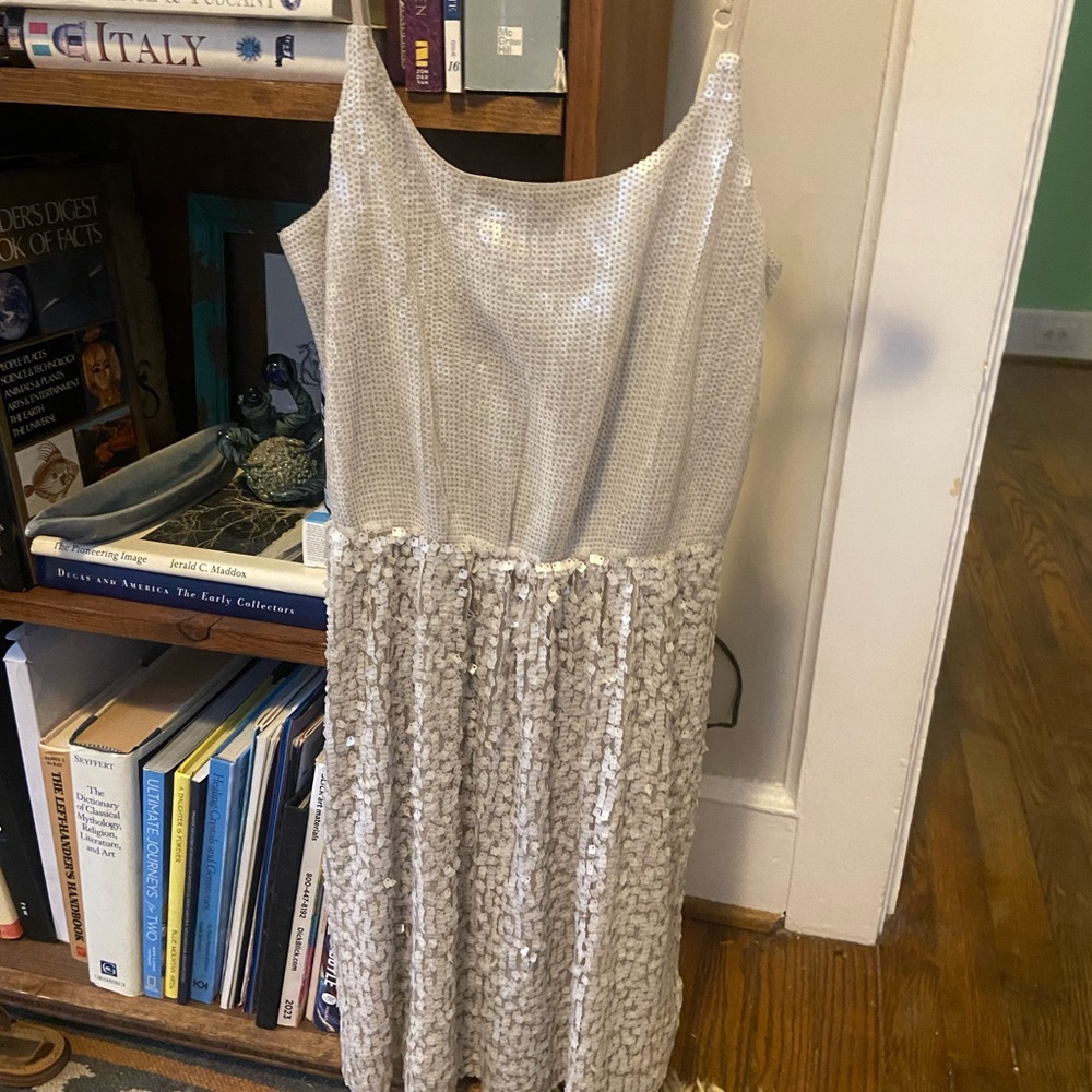 Express Silver Sequin Dress